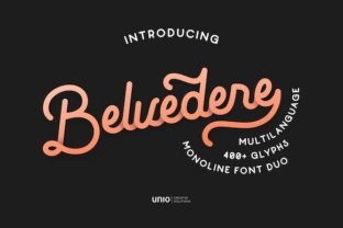 Belvedere: A Designer's Review of This Premium Script Font