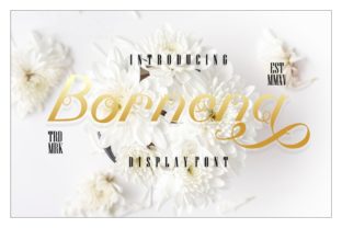 Bornena: A Premium Script Font for Campaigns
