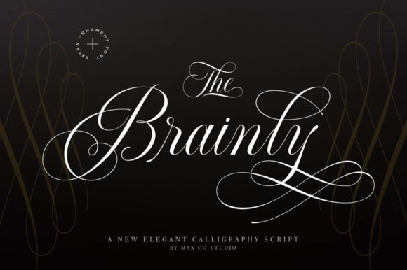 Brainly Font: Elevating Campaign Visuals with Luxury Script