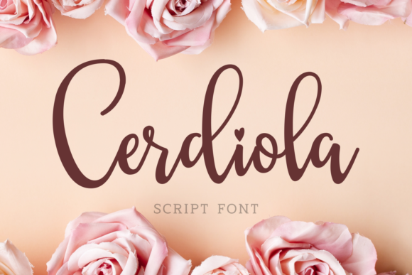 Cerdiola Font: A Designer’s Guide to Elegant Script Branding