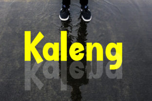Kaleng: A Modern Sans Serif Font for Web Design