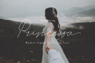Princessa: A Romantic Script Font for Brand Identity