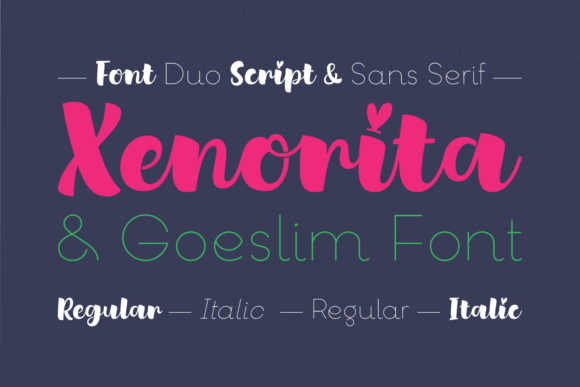Xenorita Goeslim Duo: A Premium Font for Web Design